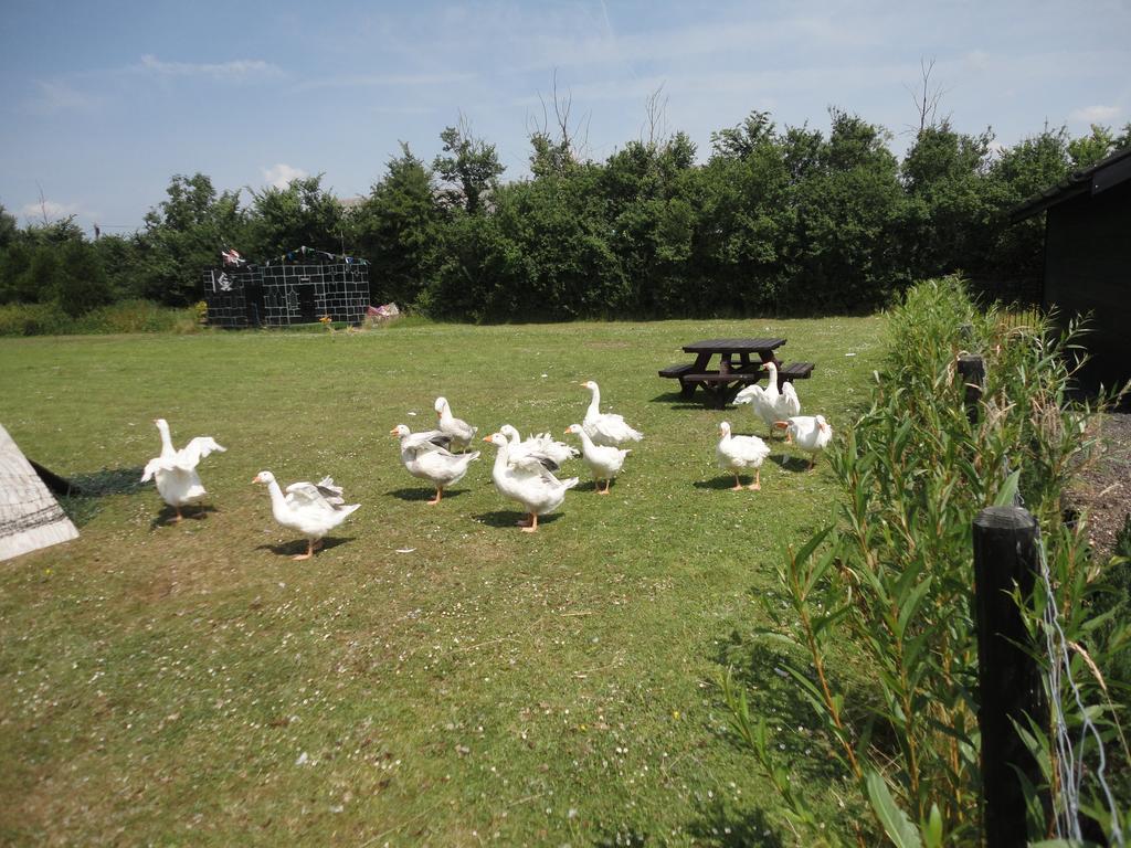 Willow Court Farm The Lodge & Petting Farm, 8 Mins From Legoland & Windsor, 15 Mins From Lapland Uk מראה חיצוני תמונה