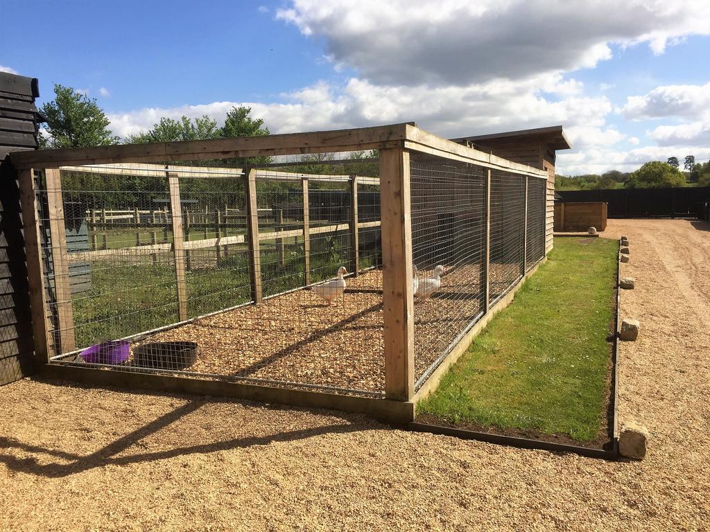 Willow Court Farm The Lodge & Petting Farm, 8 Mins From Legoland & Windsor, 15 Mins From Lapland Uk מראה חיצוני תמונה