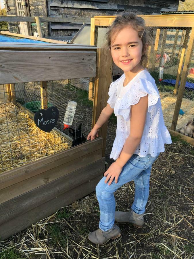 Willow Court Farm The Lodge & Petting Farm, 8 Mins From Legoland & Windsor, 15 Mins From Lapland Uk מראה חיצוני תמונה