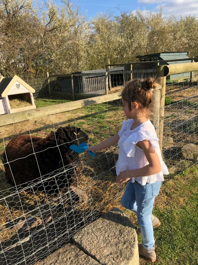 Willow Court Farm The Lodge & Petting Farm, 8 Mins From Legoland & Windsor, 15 Mins From Lapland Uk מראה חיצוני תמונה