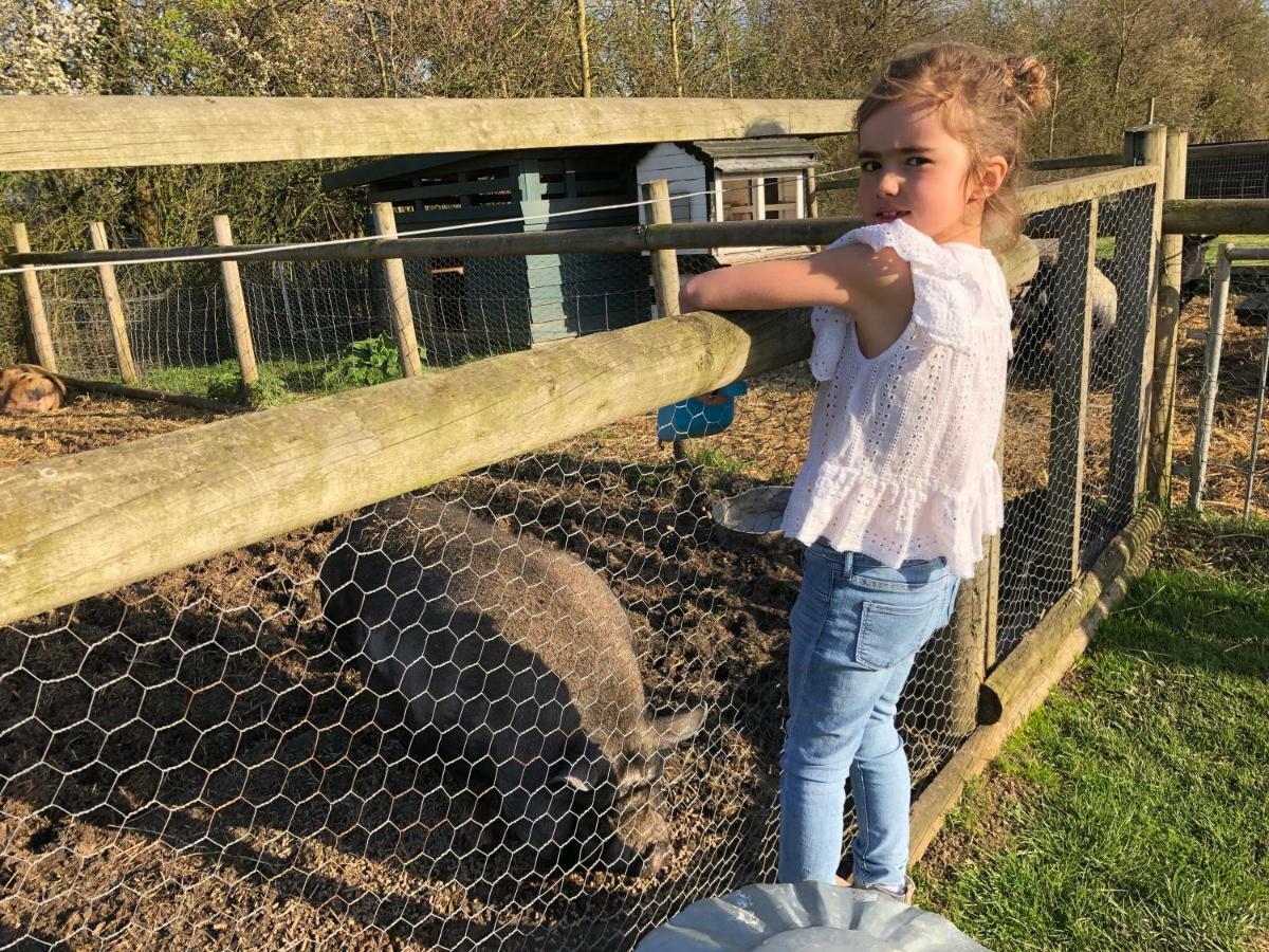 Willow Court Farm The Lodge & Petting Farm, 8 Mins From Legoland & Windsor, 15 Mins From Lapland Uk מראה חיצוני תמונה