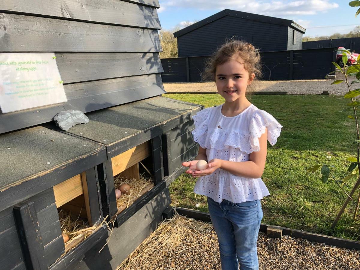 Willow Court Farm The Lodge & Petting Farm, 8 Mins From Legoland & Windsor, 15 Mins From Lapland Uk מראה חיצוני תמונה